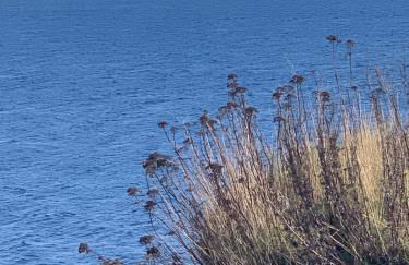 SOLund - Sonne im Herzen - ruhige und sonnige Ferienwohnung mit Terrasse und Garten nahe Strand und Ostsee - Foto 39