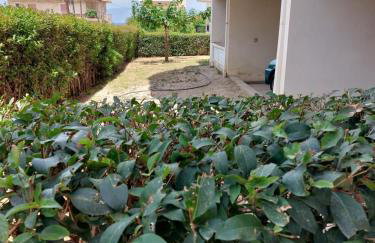 SereneLands Derveni by ΜPS - Foto 16