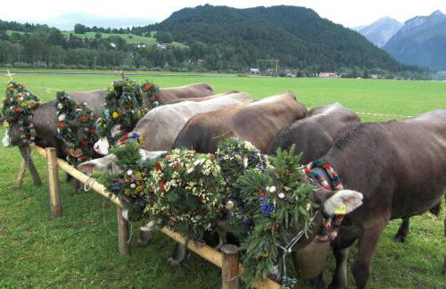 Apartment am Rosengarten by Interhome - Foto 45