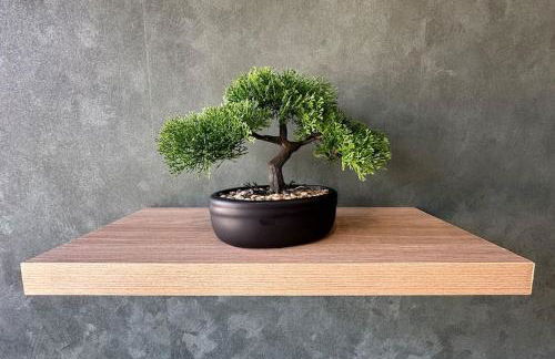 Grand appartement Roanne centre - Foto 12