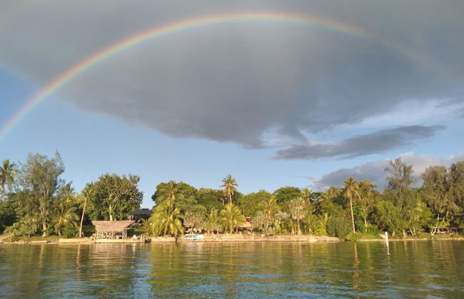 Troppo Mystique - Photo 48