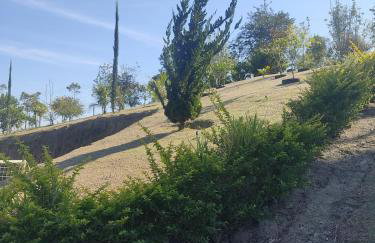 Chácara Pôr do Sol - Foto 50