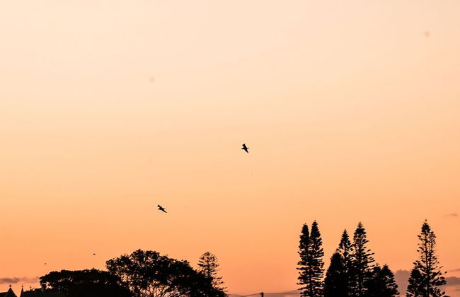 Terrigal Pacific Coastal Retreat - Photo 61