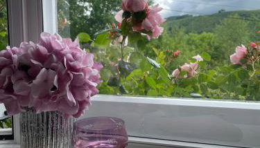 200 year old Gardener's cottage, Mid Wales - Foto 3