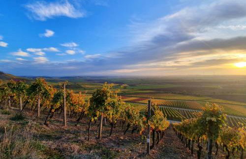 GLÜCK HOMES IPPESHEIM - Foto 38