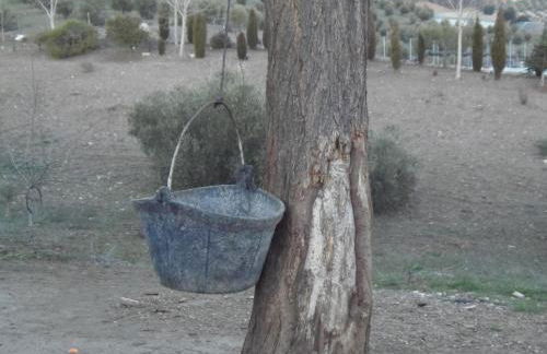 Cortijo Moyano - Photo 49