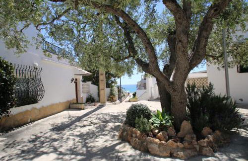 Las Marinas B - Foto 18