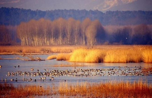 Agriturismo Monte a Pescia - Foto 69