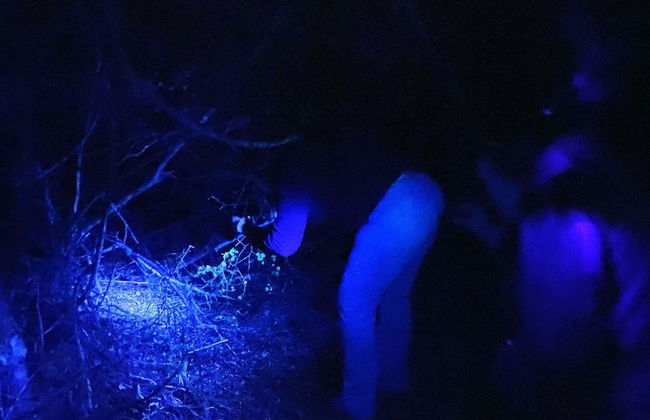 Trilha noturna por Oudtshoorn + Avistamentos de escorpiões - Foto 8