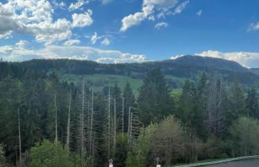 Studios cosy au pied des pistes - Foto 8