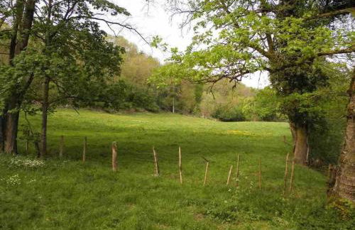 La petite Semuroise - Foto 40