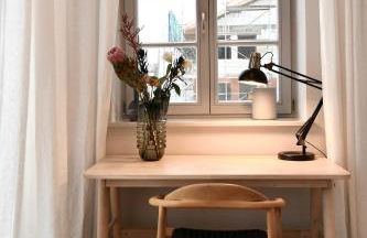 Schöne Aussicht Rosenhagen Haus 5 - Foto 10