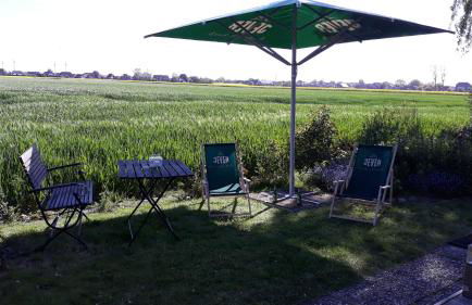 Mien Leevsten - Photo 36