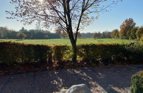 Ferien-am-Uhlenmeer Keine-Monteure - Foto 19