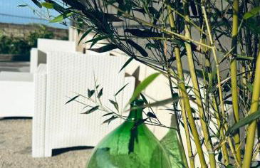 ENDLESS SUMMER APARTMENTS - Photo 20