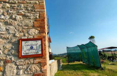 Giardino casa Selciata - Foto 29