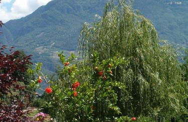 Ferienwohnungen Günzelgut - Photo 30