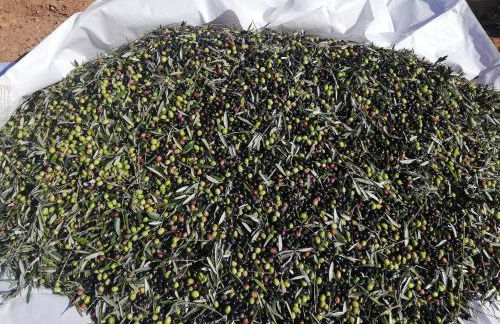 Burrico D`Orada - Rural Stays & Wine Country Tours - Foto 64