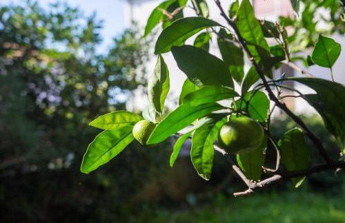 Apartment Bruno - Foto 26