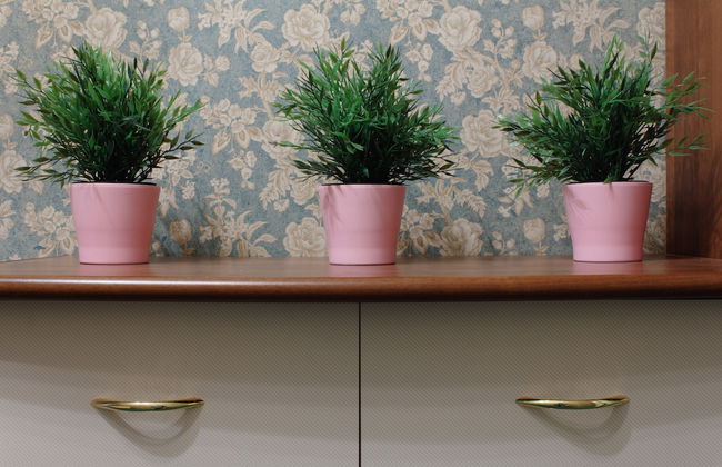 InnHome Apartments - Revolution Square - Photo 10