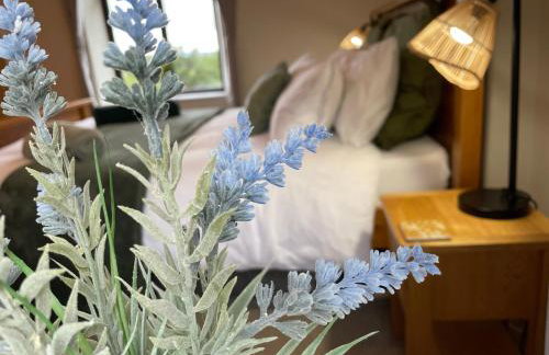 Muddy Paws Cottages - The Nook - Photo 38