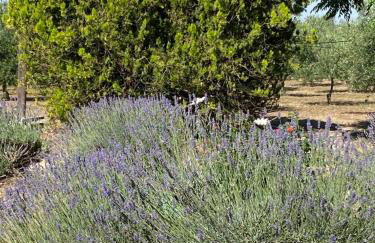 Casale Montereale - Foto 27