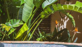 Maison Magdeleine - Photo 2