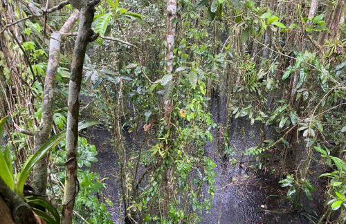 Maresias Beach Cottage - Foto 14