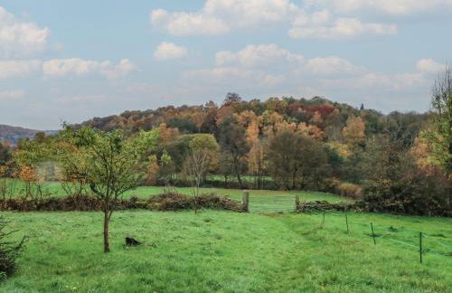 Meadow View Cottage - Photo 19