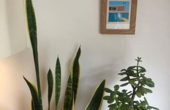 Immaculate 2-bed Loft, St Ives 2 min From Beach - Foto 15