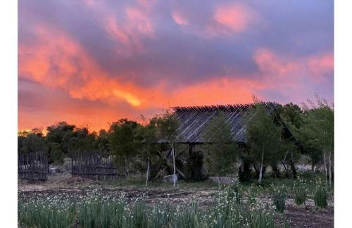 Studio Cabin Suite on Organic Farm Stay near Taos, New Mexico - Foto 38