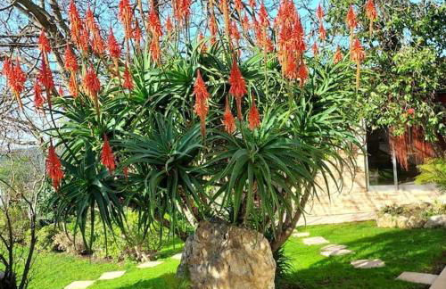 CasaT5, Férias, Piscina Privativa. Águeda, Aveiro - Foto 29