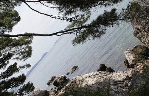 Studio Apartments Andrijana - Foto 68