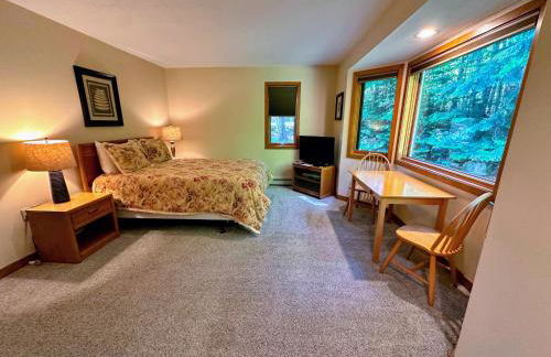 FC44 Renovated 3bed 3bath Forest Cottage AC views yard fast wifi Walk to skiing - Foto 23