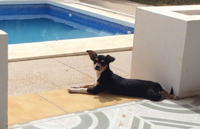 Casa Del Sun With Private Pool - Foto 8