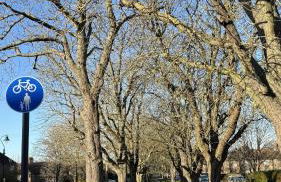 West London Spacious Modern House Garden Driveway - Foto 16