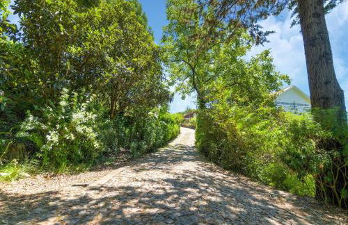 Forest Hideaway Near Douro Valley - Foto 63