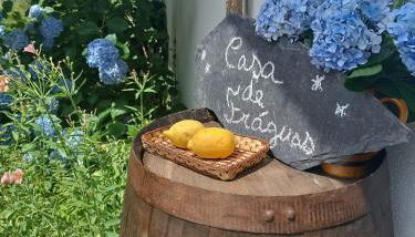 Casa de Fráguas - Foto 2