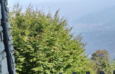 Panoramic Eagle - Photo 16