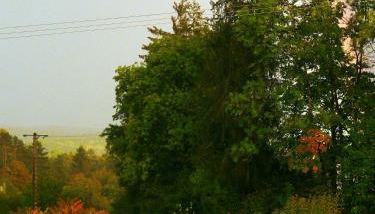 Gite de Pêche - Foto 3, Garden