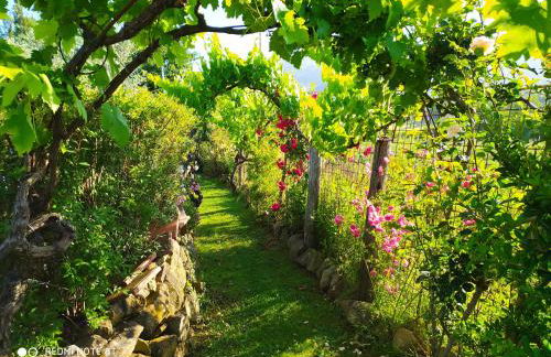 Podere Piandarca - Photo 70