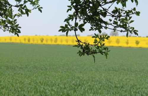 Beautiful Apartment in Robertsdorf With Garden - Foto 40