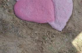 Chalé Barco da areia - Photo 11