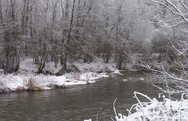 Cottage Near Durbuy Forest - Photo 34
