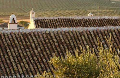 Cortijo Alzamigaja - Foto 17