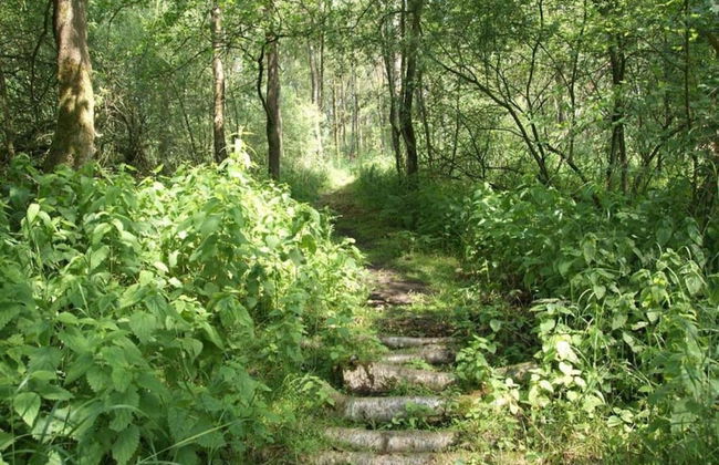 Getaway With Garden in Gelderland - Foto 30