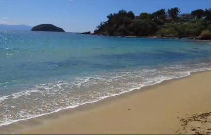 Olivia -Ελιά - Foto 36