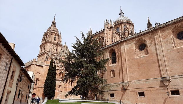 Tour guidato privato completo della città di Salamanca - Foto 2