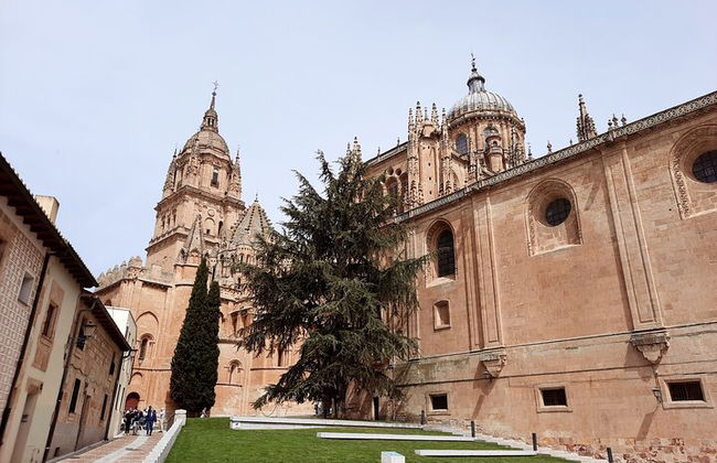 Tour guidato privato completo della città di Salamanca - Foto 2