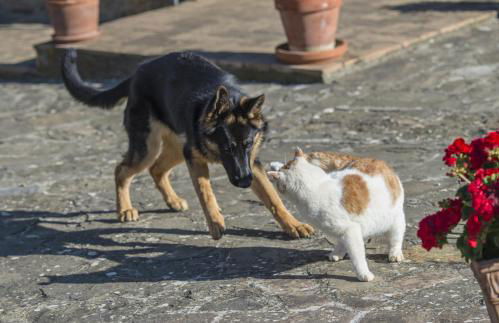 Agriturismo Bagnaia - Foto 54